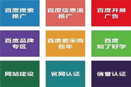 某知名品牌SEM运营策略及效果评估